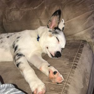 Meet your Posher, Marcus